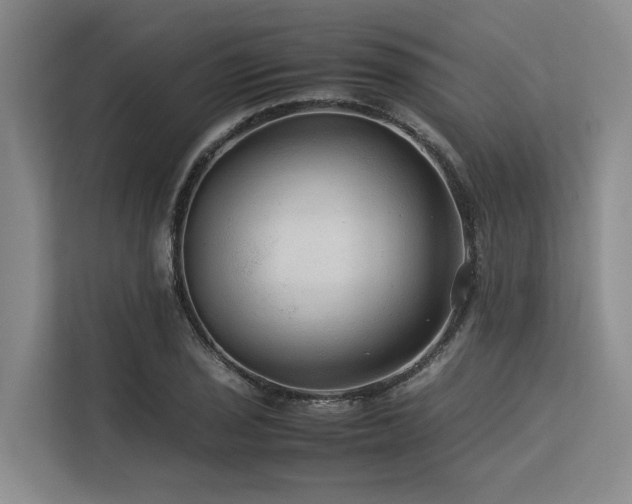 X0000113561029200909181215
