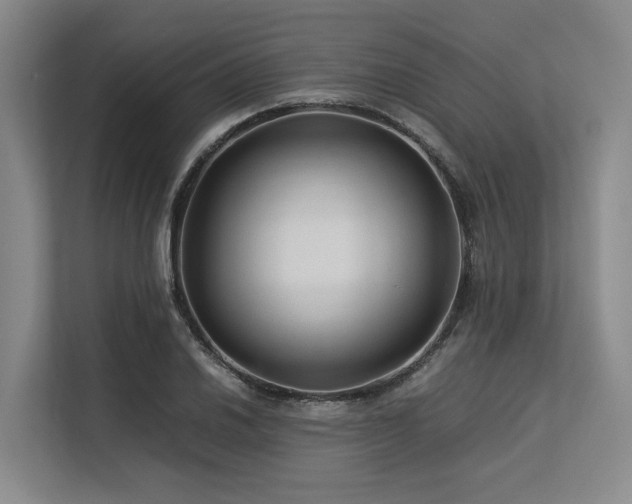 X0000113561030200909181215