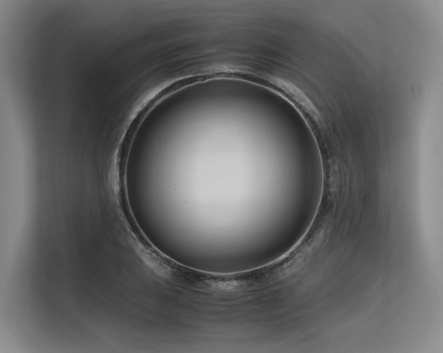 X0000113561031200909181215