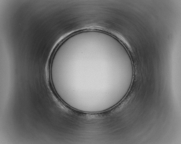 X0000113561032200909181215