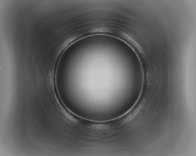 X0000113561033200909181215