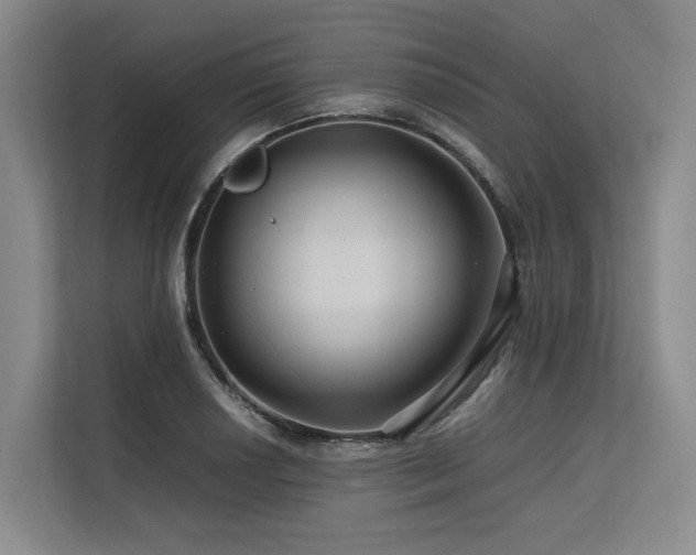 X0000113561034200909181215