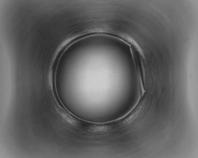 X0000113561035200909181215