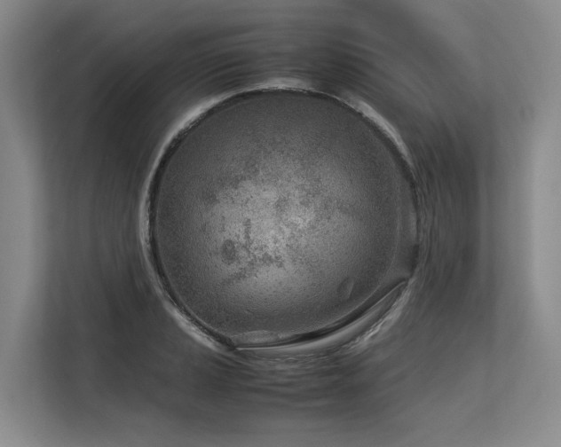 X0000113561037200909181215