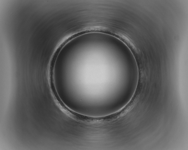 X0000113561038200909181215