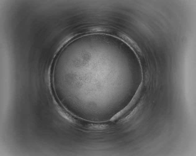 X0000113561039200909181215