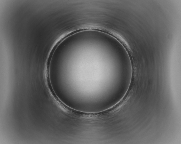 X0000113561040200909181215
