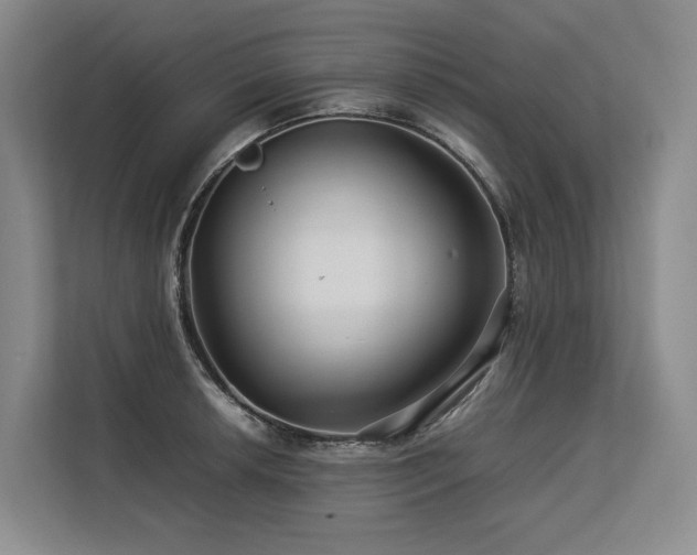 X0000113561042200909181215