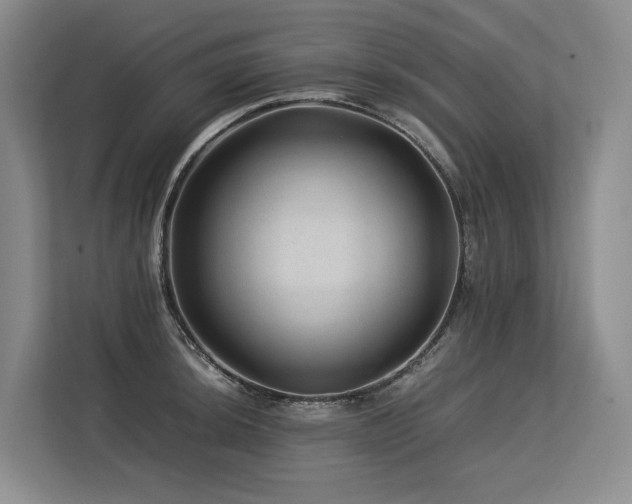 X0000113561044200909181215