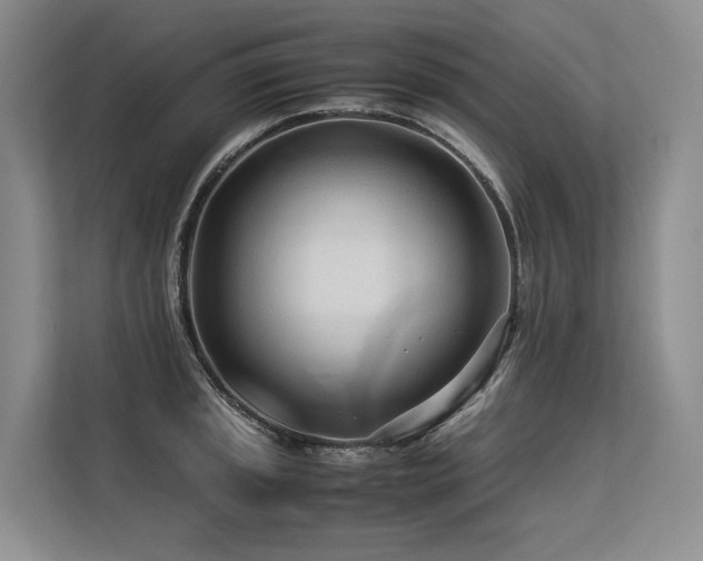X0000113561045200909181215