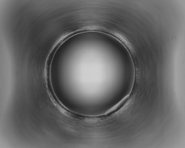 X0000113561046200909181215