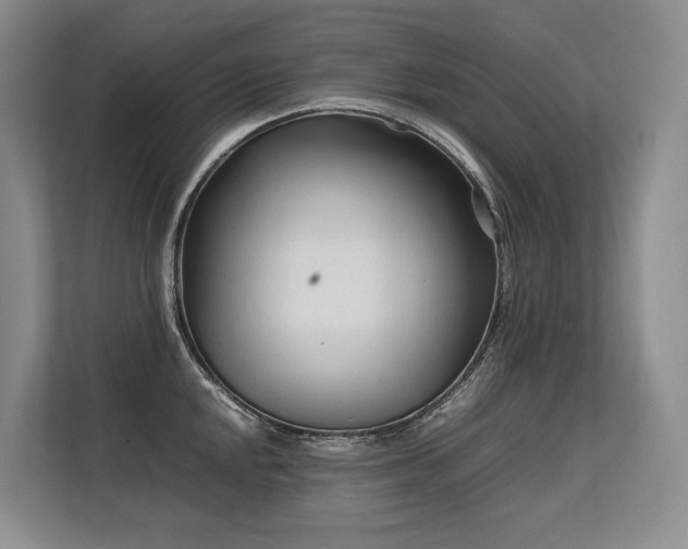 X0000113561048200909181215