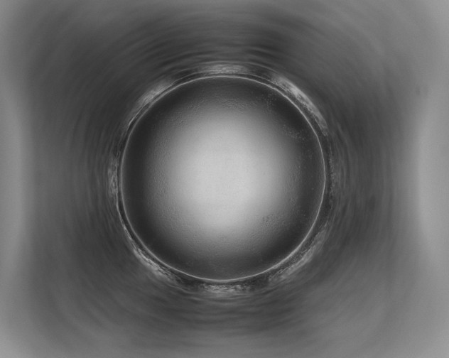 X0000113561049200909181215