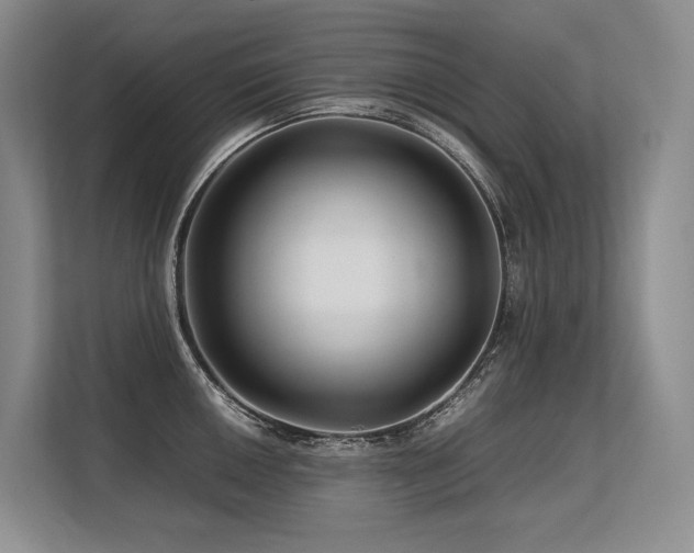 X0000113561050200909181215