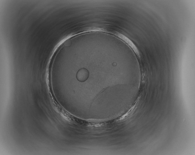 X0000113561051200909181216