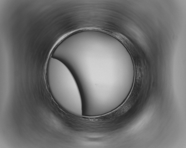 X0000113561052200909181216