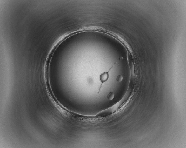 X0000113561054200909181216