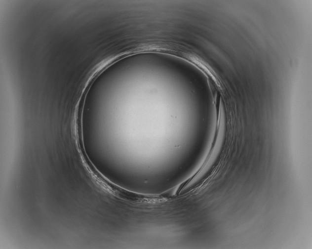 X0000113561055200909181216