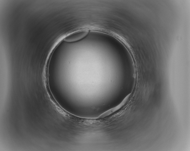 X0000113561056200909181216