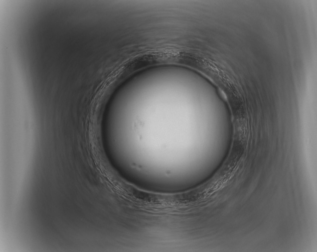 X0000113561057200909181215
