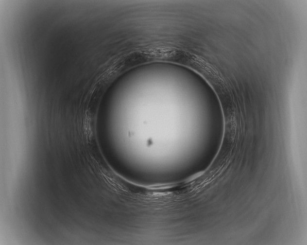 X0000113561058200909181215