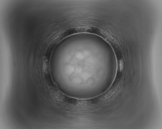 X0000113561059200909181215