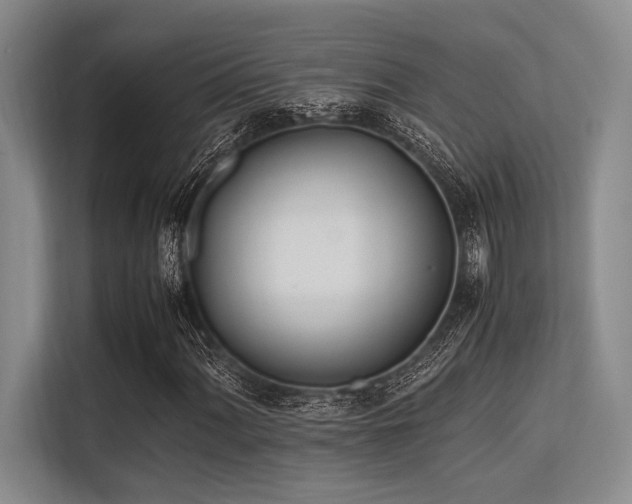 X0000113561060200909181215