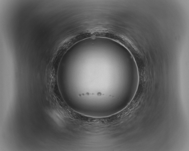 X0000113561063200909181215