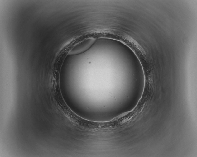 X0000113561064200909181215