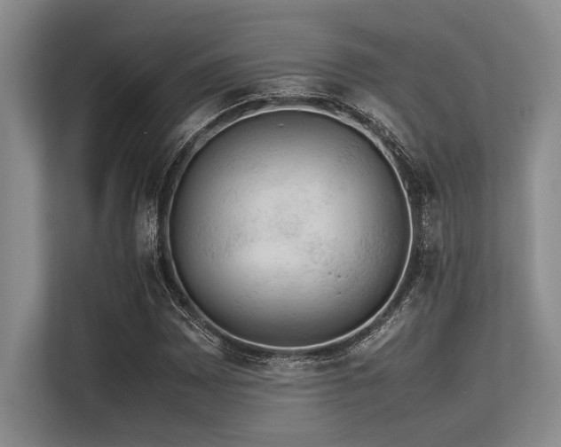 X0000113561065200909181215