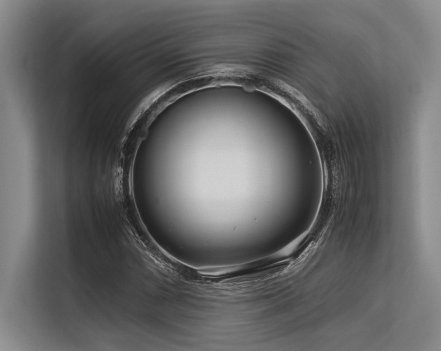 X0000113561066200909181215