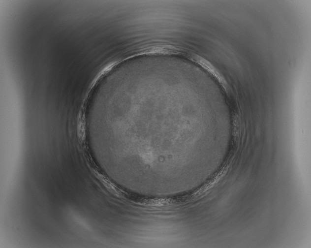X0000113561067200909181215