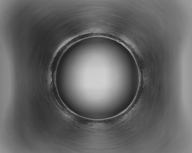 X0000113561070200909181215