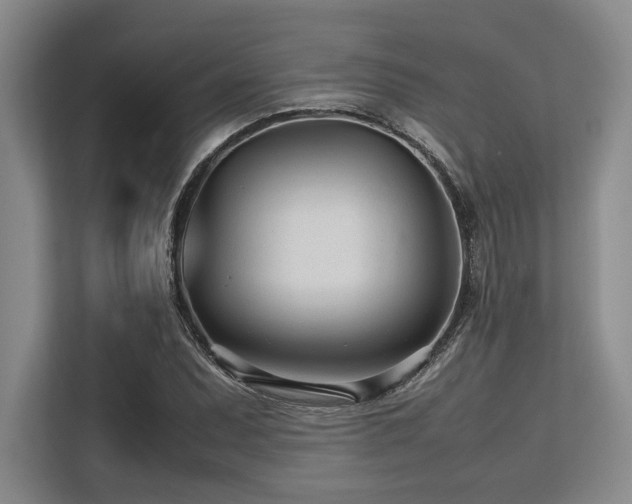 X0000113561071200909181215