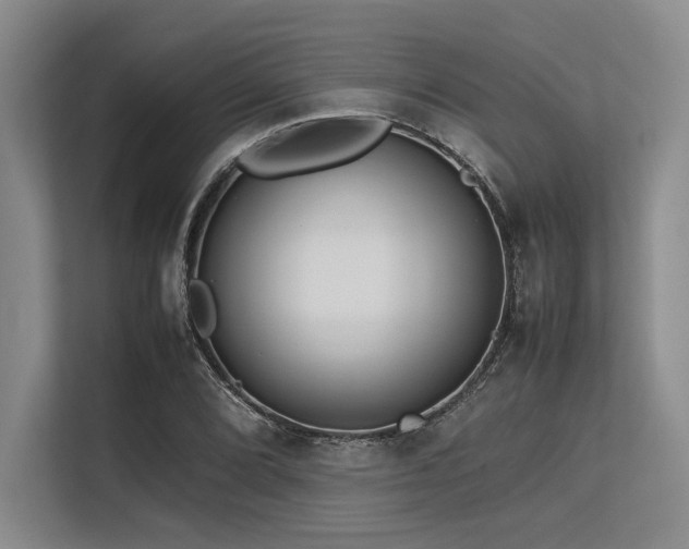 X0000113561072200909181215