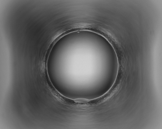 X0000113561073200909181215