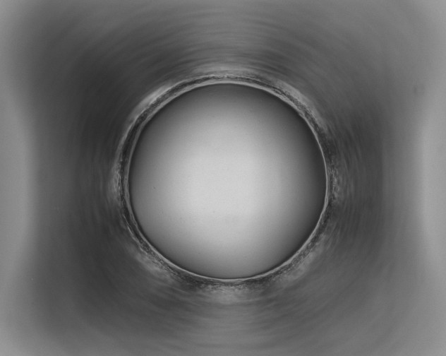 X0000113561074200909181215