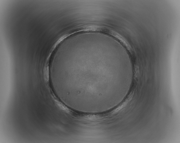 X0000113561075200909181215