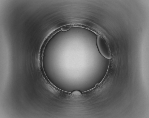 X0000113561076200909181215