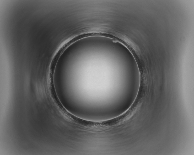 X0000113561077200909181215
