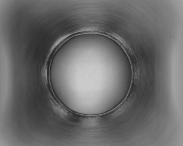 X0000113561078200909181215