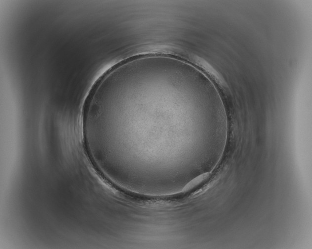 X0000113561079200909181215
