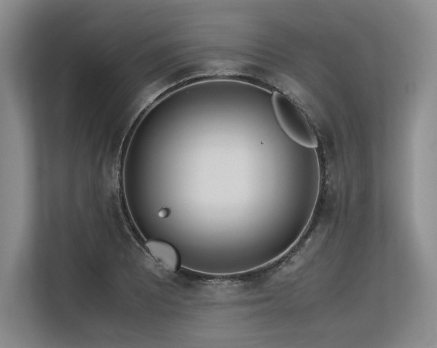 X0000113561081200909181215