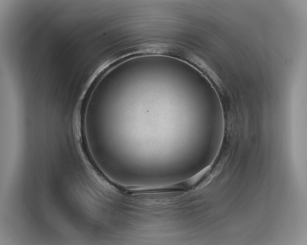 X0000113561083200909181215