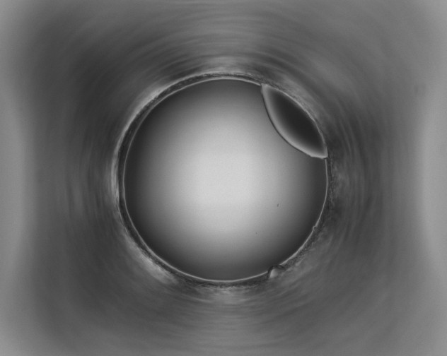 X0000113561084200909181215