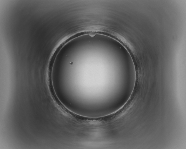 X0000113561085200909181215