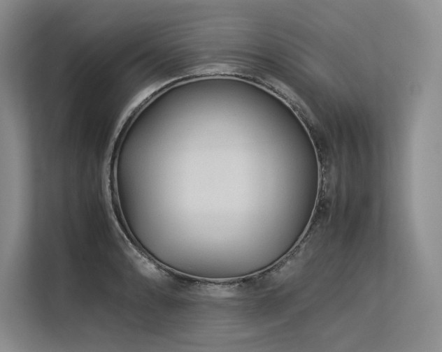 X0000113561086200909181215