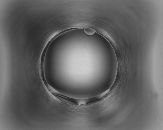 X0000113561087200909181215