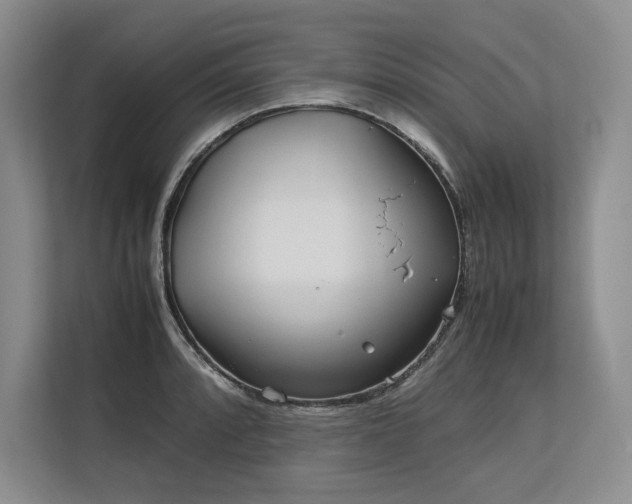 X0000113561088200909181215