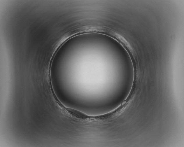 X0000113561089200909181215